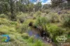 214, - Piggery Road, Red Range, NSW 2370-Image