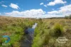 214, - Piggery Road, Red Range, NSW 2370-Image