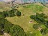 224 Ross and Witherdens Road, Strzelecki, Vic 3950-Image