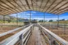225 Glen Creek Road, Bonnie Doon, Vic 3720-Image