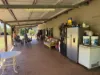 22779 Kennedy Highway, Minnamoolka, Qld 4872-Image