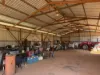 22779 Kennedy Highway, Minnamoolka, Qld 4872-Image