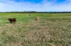 230 Sutherlands Lane, Bellimbopinni, NSW 2440-Image