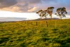2351 Romsey Road, Springfield, Vic 3434-Image
