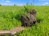 23583 Riddoch Highway, Port Macdonnell, SA 5291-Image