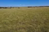 236 Tiger Scrub Road, Roma QLD 4455-Image