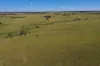 236 Tiger Scrub Road, Roma QLD 4455-Image