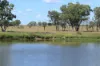 236 Tiger Scrub Road, Roma QLD 4455-Image