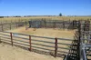 236 Tiger Scrub Road, Roma QLD 4455-Image