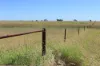 236 Tiger Scrub Road, Roma QLD 4455-Image