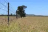 236 Tiger Scrub Road, Roma QLD 4455-Image