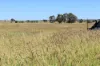 236 Tiger Scrub Road, Roma QLD 4455-Image