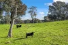 240 Kubeils Road, Merton, Vic 3715-Image