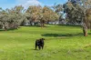 240 Kubeils Road, Merton, Vic 3715-Image