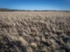 2403 Stanthorpe Inglewood Road, Inglewood, Qld 4387-Image