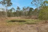 2497 Marlborough Sarina Road, Sarina Range, Qld 4737-Image