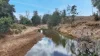 2497 Marlborough Sarina Road, Sarina Range, Qld 4737-Image