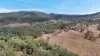 2497 Marlborough Sarina Road, Sarina Range, Qld 4737-Image