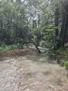2497 Marlborough Sarina Road, Sarina Range, Qld 4737-Image