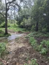 2497 Marlborough Sarina Road, Sarina Range, Qld 4737-Image