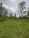 2497 Marlborough Sarina Road, Sarina Range, Qld 4737-Image