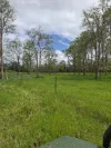2497 Marlborough Sarina Road, Sarina Range, Qld 4737-Image