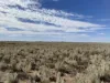 2521 Davis Rd, Port Davis, SA 5540-Image