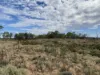 2521 Davis Rd, Port Davis, SA 5540-Image