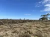 2521 Davis Rd, Port Davis, SA 5540-Image