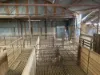 2521 Davis Rd, Port Davis, SA 5540-Image