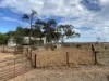 2521 Davis Rd, Port Davis, SA 5540-Image