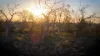 2521 Davis Rd, Port Davis, SA 5540-Image