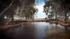 2521 Davis Rd, Port Davis, SA 5540-Image
