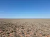 2521 Davis Rd, Port Davis, SA 5540-Image