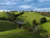 255 Buffalo North Road, Buffalo, Vic 3958