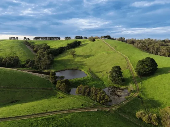 255 Buffalo North Road, Buffalo, Vic 3958
