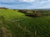 255 Buffalo North Road, Buffalo, Vic 3958-Image