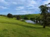 255 Buffalo North Road, Buffalo, Vic 3958-Image