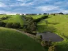 255 Buffalo North Road, Buffalo, Vic 3958-Image