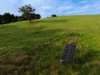 255 Buffalo North Road, Buffalo, Vic 3958-Image