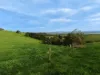 255 Buffalo North Road, Buffalo, Vic 3958-Image
