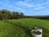 255 Buffalo North Road, Buffalo, Vic 3958-Image