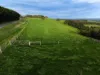 255 Buffalo North Road, Buffalo, Vic 3958-Image
