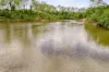 257-343 Caulleys Road, Paterson, Qld 4570-Image