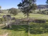 259 Blue Range Road, Bridge Creek, Vic 3723-Image