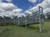 2655 Clonmel Road, Monto, Qld 4630-Image