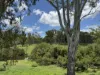 2655 Clonmel Road, Monto, Qld 4630-Image