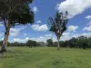 2655 Clonmel Road, Monto, Qld 4630-Image