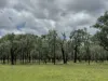 2655 Clonmel Road, Monto, Qld 4630-Image