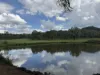 2655 Clonmel Road, Monto, Qld 4630-Image